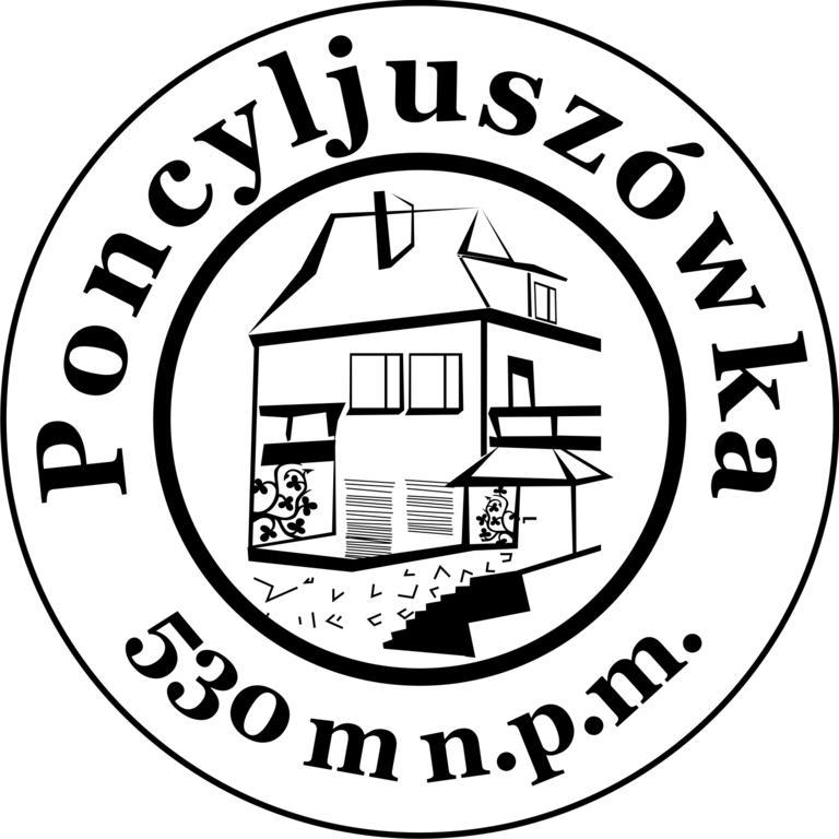 Апартаменты Poncyljuszowka Щирк Экстерьер фото